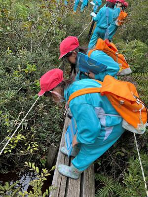 湿原観察会　夏の湿原活動が雨天で中止となったため、今年は秋の湿原を観察しました。なかなか見られない植物を観察することができました。